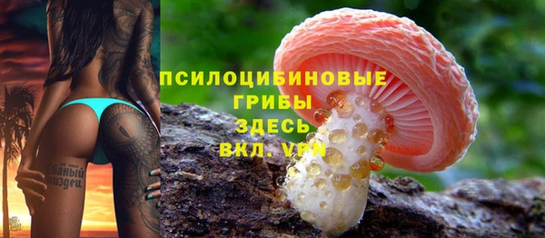 меф Вяземский