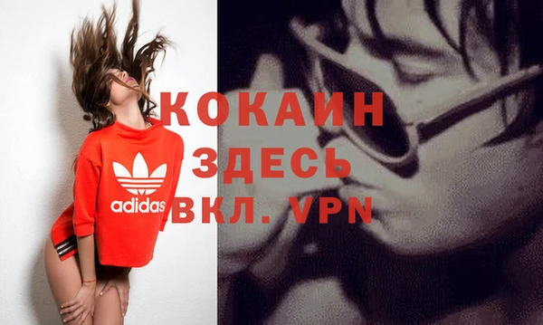 ПСИЛОЦИБИНОВЫЕ ГРИБЫ Вязники