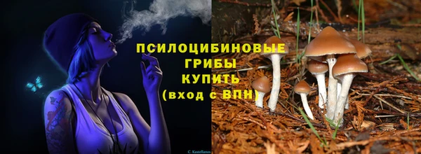 меф Вяземский