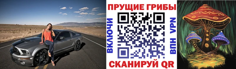 Галлюциногенные грибы мицелий  продажа наркотиков  Знаменск 
