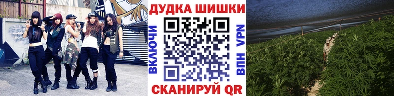 цена наркотик даркнет формула Марихуана White Widow Знаменск